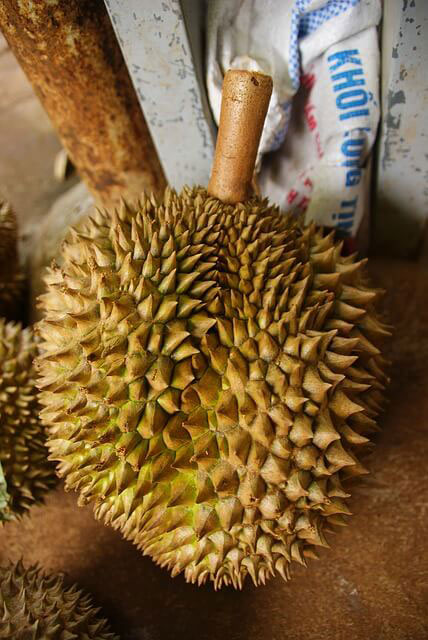 Durian Fruit GC Odor Analysis