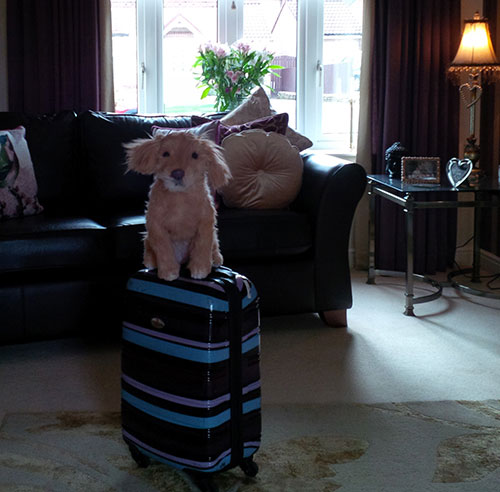 dusty with her suitcase