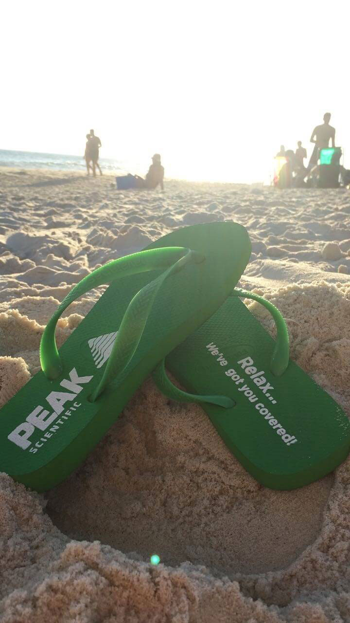 BrMASS 2018 flip flops