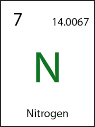 N2