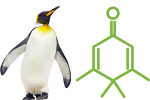 Penguinone Peak Scientific