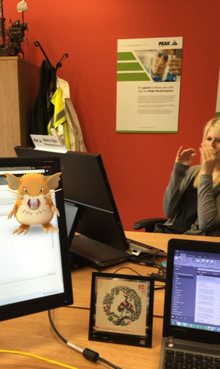 PokemonGo Raticate desk office Peak