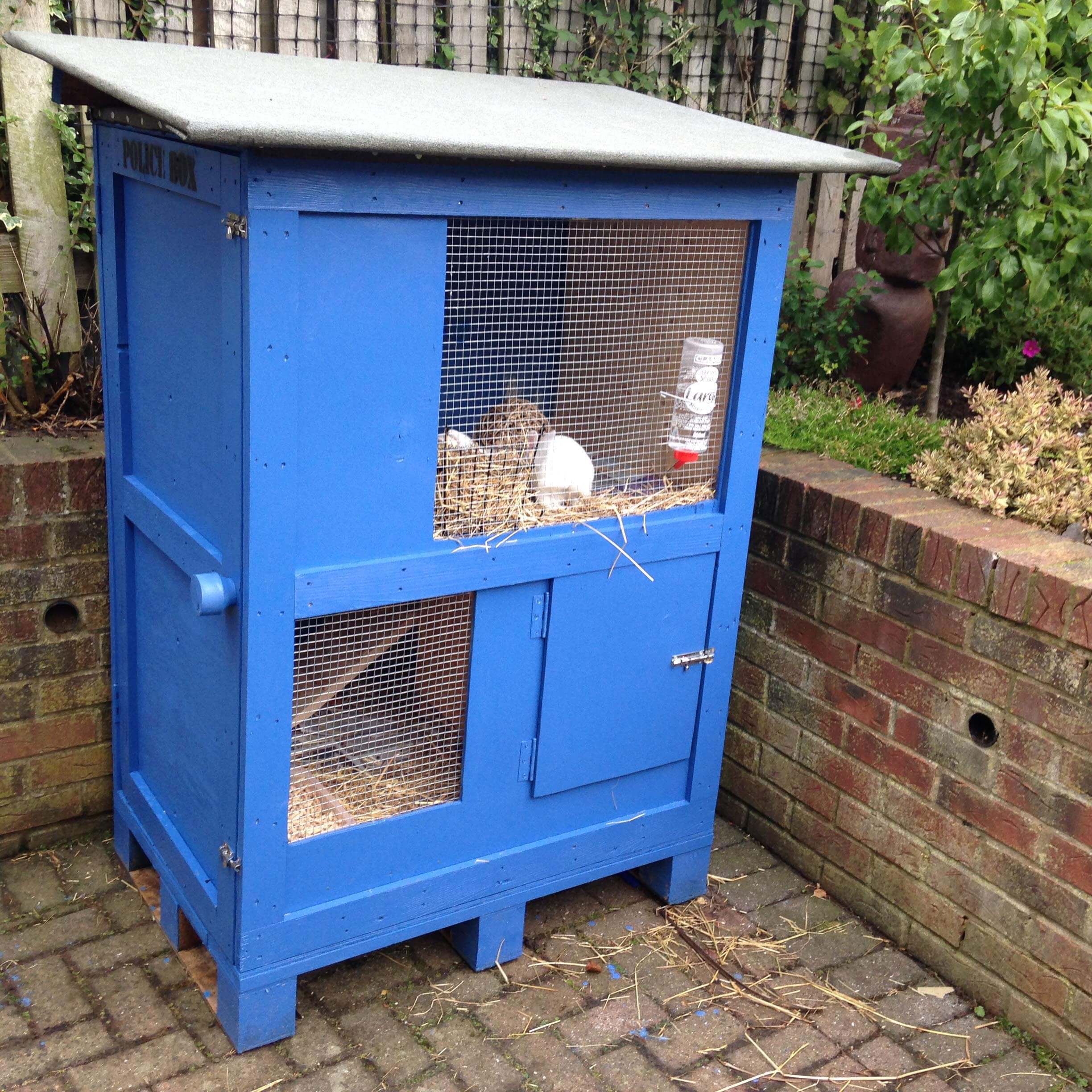 Tardis Rabbit Hutch