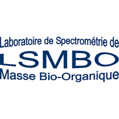 LSMBO Logo