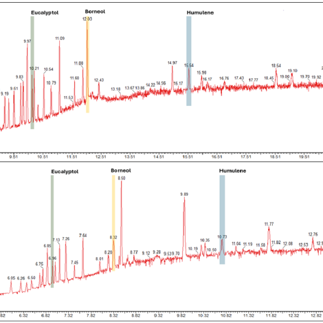 Figure 1 Maintaining Sensitivity And Spectral Integrity In GC MS