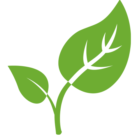 Leaf (1)