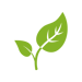 Green Icon