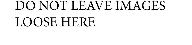 Do Not Leave Loose Images In This Folder File Correctly (1)